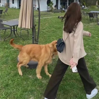 国王与王后