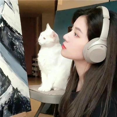 手语的保存