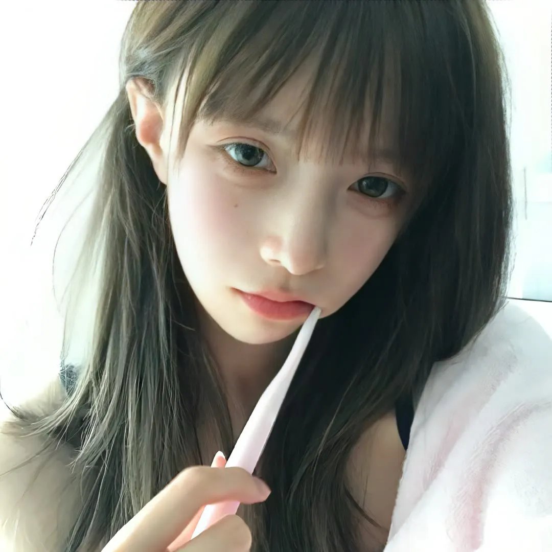 征服北极的人